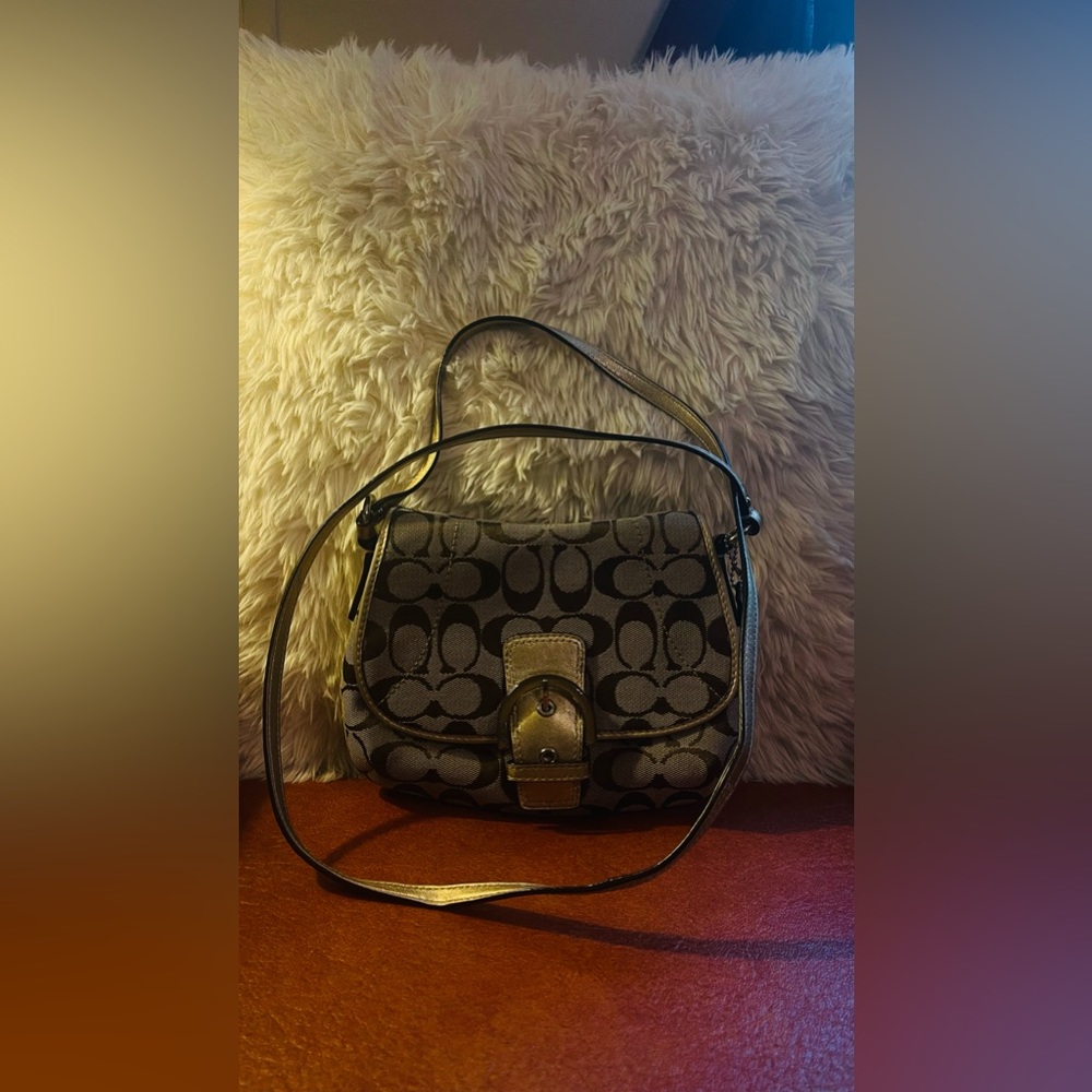 Authentic Vintage Coach